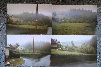 Grundstück, Weideland, Wiese, Biotop - Machern