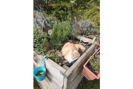 WG ZIMMER ländlich gelegen - 550,00&nbsp;EUR Kaltmiete, ca.&nbsp; 17,60&nbsp;m&sup2; in Velden (PLZ: 84149)