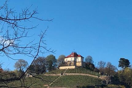 Kleingarten mit Blick auf die Weinberge Radebeul West