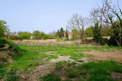 Grundstück zu verkaufen in Brandenburg an der Havel 79.000,00 € 503 m²