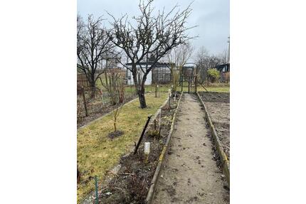 Kleingarten - 300,00&nbsp;EUR Kaltmiete, ca.&nbsp; 0,00&nbsp;m&sup2; in Ribnitz-Damgarten (PLZ: 18311)