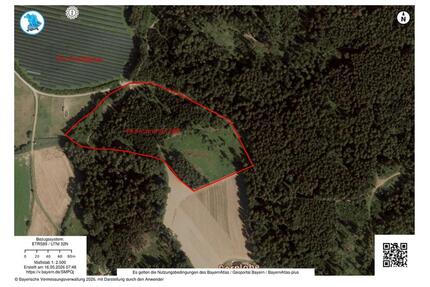Waldgrundstück Ausgleichsfläche Kapitalanlage Freizeitfläche - Niederwinkling