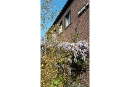 Historisches Anwesen mit Loftwohnungen in Tarnbunker! - Mönchengladbach West