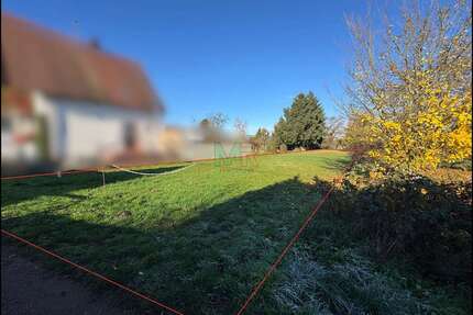 Grundstück zu verkaufen in Landau in der Pfalz 290.000,00 € 1450 m²