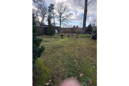 Haus mit großem Garten & Waldnähe - Nähe Haff Ueckermünde - Eggesin