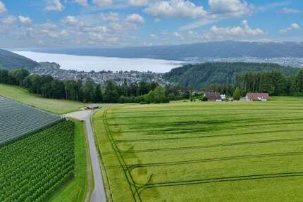 Haus zum Kaufen in Bodman-Ludwigshafen 6.280.000,00 € 721 m²