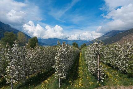 schöne Neubau - Eigentumswohnung im Vinschgau *unkonventioniert* - Garmisch-Partenkirchen Breitenau