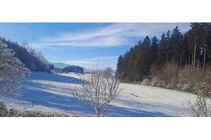 Einfamilienhaus im Allgäu - 1.200.000,00&nbsp;EUR Kaufpreis, ca.&nbsp; 194,00&nbsp;m&sup2;&nbsp;Wohnfl&auml;che in Sulzberg (PLZ: 87477)