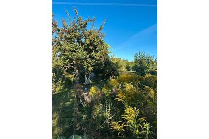 Offene Besichtigung Freitag 24.04 16:30 Uhr - Lüneburg