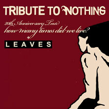 Tribute To Nothing - 20 yrs. of 