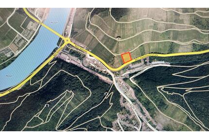 Weinberg Kreuzlay „Zeller Schwarze Katz