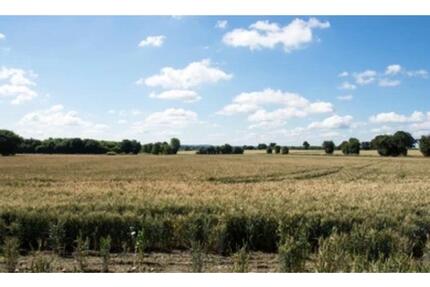 Doppelhaushälfte - 1.200,00&nbsp;EUR Kaltmiete, ca.&nbsp; 120,00&nbsp;m&sup2; in Stinstedt (PLZ: 21772)