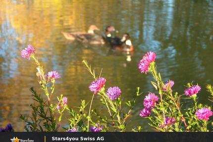1.OG 2-Zimmerwohnung für Naturliebhaber *ohne Vermittlungsprovision* - Wolnzach