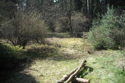 Baugrundstück mit Positiv bescheid - Garbsen