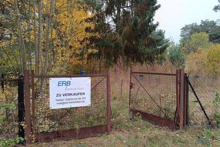 Berliner Umland - Baugrundstück in Königs Wusterhausen OT Zeesen