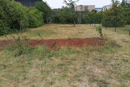 Garten Grundstück Freizeit- Erholungsgrundstück zu verpachten - Gotha