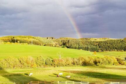 WOHNEN mit PFERDEN Natur idyllische Aussichtslage 3ZKBBalkon - Bleialf
