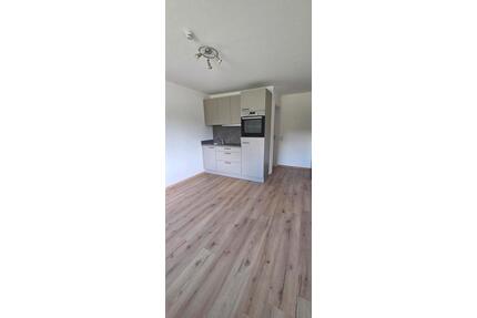 1-Zimmer-Wohnung Singlewohnung Wochenendheimfahrer - Ochsenhausen
