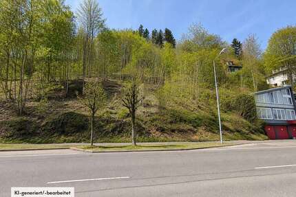 Grundstück zu verkaufen in Albstadt 99.000,00 € 2595 m²