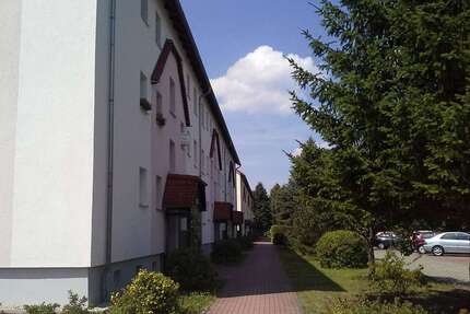 Wohnung zum Mieten in Lauta 326,00 € 59.29 m²