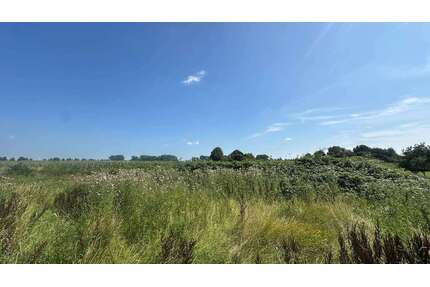 Grundstück zu verkaufen in Seestermühe 206.960,00 € 796 m²