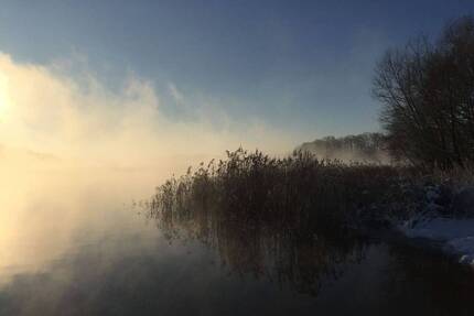Natur pur! Einzigartige Doppelhaushälfte auf parkähnlichem Grundstück mit eigenem Bachlauf - Mucheln