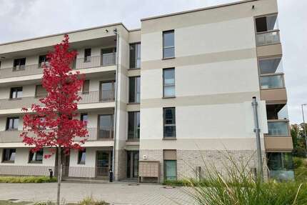 Wohnung zum Mieten in Hattersheim 1.220,00 € 88.81 m²
