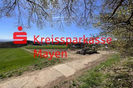 Grundstück zu verkaufen in Mayen 96.000,00 € 384 m²