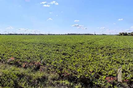 Grundstück zu verkaufen in Rottmersleben 129.125,00 € 1033 m²