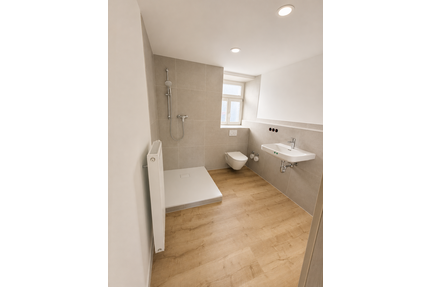 Wohnung zum Mieten in Baiersdorf 770,00 € 55 m²
