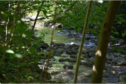 Haus zum Kaufen in Unterwössen 575.000,00 € 156.32 m²