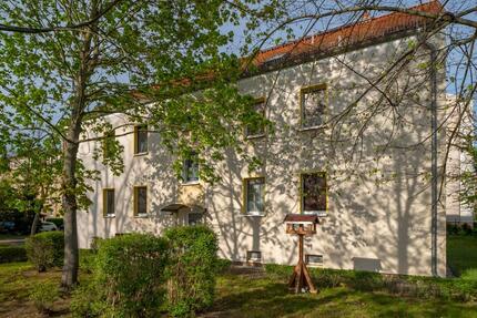 Licht & Raum – ideale 2-Raum-Wohnung für Singles - Bad Liebenwerda