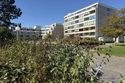 Wohnung zum Kaufen in Wendtorf 115.000,00 € 33 m²