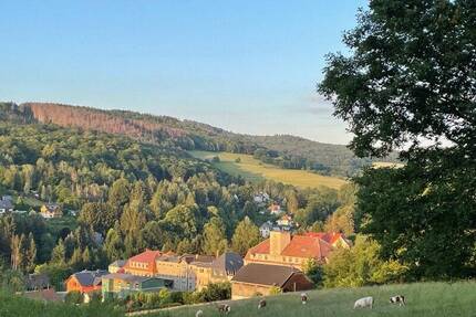 Wohnlage zum Verlieben! - 240.000,00&nbsp;EUR Kaufpreis, ca.&nbsp; 1,34&nbsp;m&sup2;&nbsp;Wohnfl&auml;che in Sebnitz (PLZ: 01855)