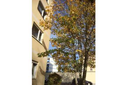 Wohnung zum Kaufen in Villingen-Schwenningen 193.000,00 € 93.7 m²