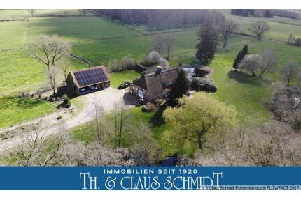 Exklusives Landhaus unter Reet mit gr. Remise, Werkstatt und Schwimmteich in Naturlage von Jade