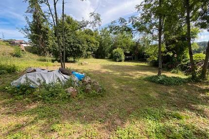 2 Gartenparzellen Rheinfelden je 10001500m2 gross zu vermieten - Rheinfelden (Baden)