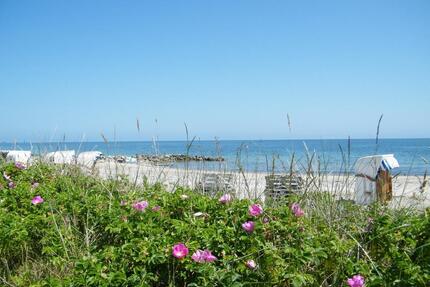 Ab April 2026 2-Zimmer-Ferienwohnung OstseeSchlei (2 Personen) - Kappeln