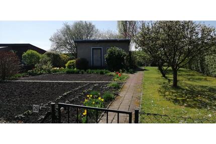 Pachtgarten in Holleben massive Steinlaube Garten - Teutschenthal