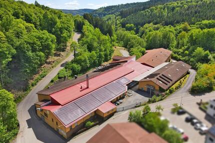 720 m² Lagerhalle | erster Monat mietfrei! - Wald-Michelbach