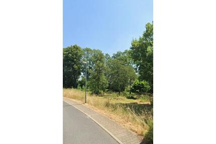 Grundstück zum Verpachten 2700qm2 Pachtland Weideland - Hainichen