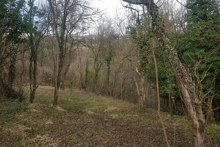 Grundstück für Bienen oder als Holzlager - Künzelsau