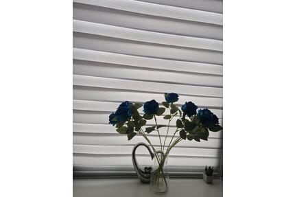 Möblierte 2 Zimmer Wohnung nähe AIRBUS zur Untermiete - Hamburg Harburg