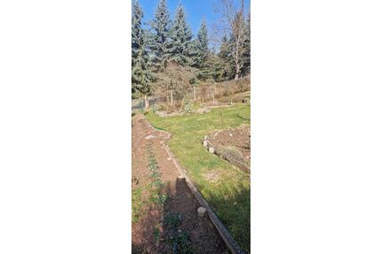 Pachtgarten - 1.700,00&nbsp;EUR Kaltmiete, ca.&nbsp; 0,00&nbsp;m&sup2; in Gera (PLZ: 07548) Debschwitz