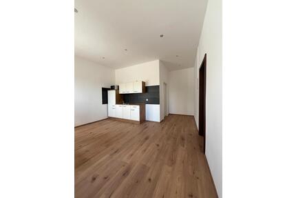 1-Zimmer-Apartment in Lautzenhausen zu vermieten - Dickenschied