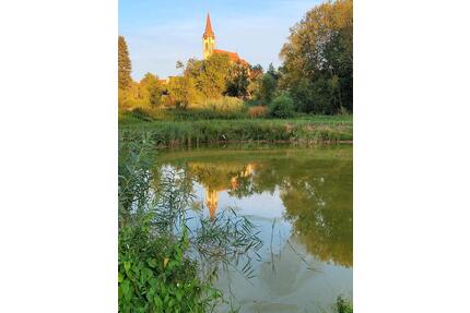 Doppelhaushälfte im Dorf - 469.000,00&nbsp;EUR Kaufpreis, ca.&nbsp; 130,00&nbsp;m&sup2; in Lauf an der Pegnitz (PLZ: 91207)