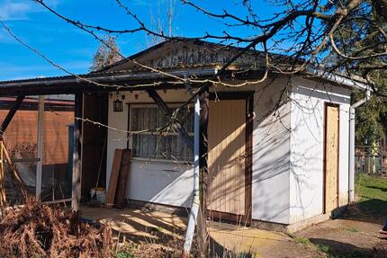 Pacht-Kleingarten mit Laube in Peitz abzugeben