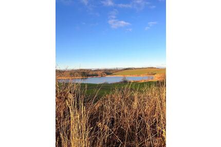 wie im Urlaub: moderner Bungalow in DK mit großer Sonnenterrasse - Flensburg Falkenberg