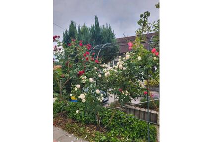 WG-zimmer in Ehingen - 530,00&nbsp;EUR Kaltmiete, ca.&nbsp; 30,00&nbsp;m&sup2; in Ehingen (Donau) (PLZ: 89584)