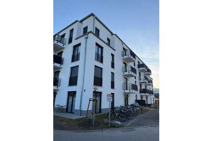 Wohnung zum Kaufen in Greifswald 189.000,00 € 34.4 m²